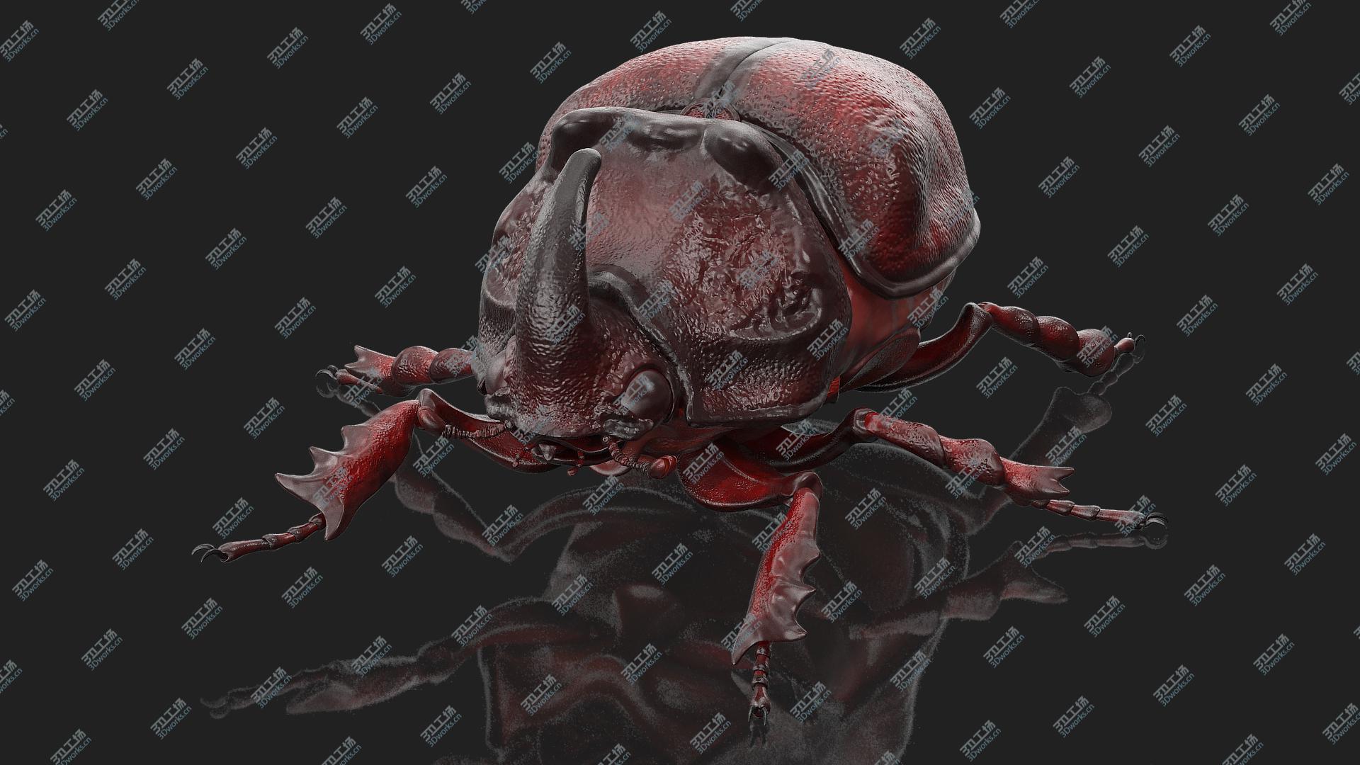 images/goods_img/202104023/Oryctes Nasicornis Rhinoceros Beetle Standing 3D model/1.jpg